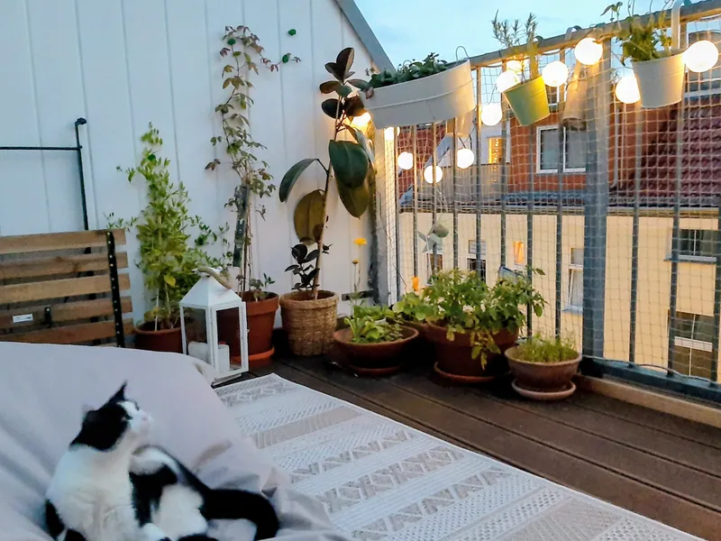 Lichtdurchflutete 2-Zimmer-Wohnung in Berlin-Siemensstadt, Dachgeschoss — photo 1